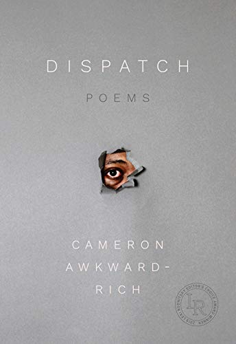 Dispatch: Poems [Paperback]