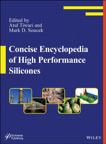 Concise Encyclopedia of High Performance Silicones [Hardcover]