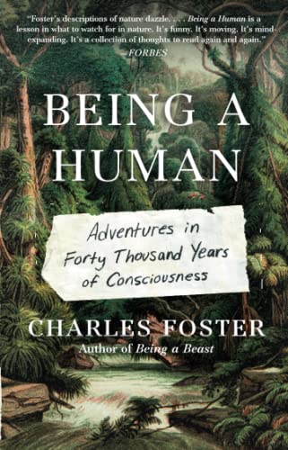 Being a Human: Adventures in Forty Thousand Years of Consciousness [Paperback]