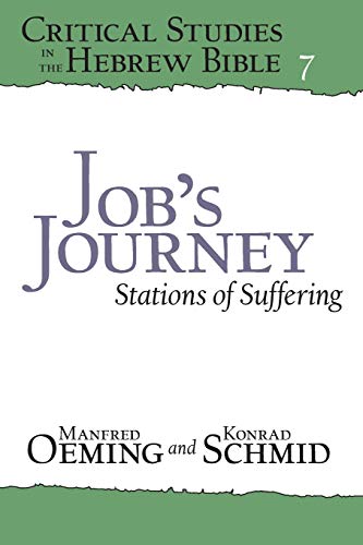 Job's Journey  Stations of Suffering [Paperback]