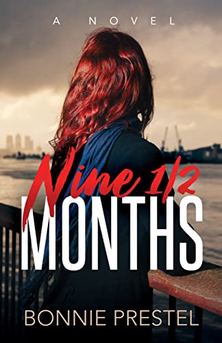 Nine  Months A Novel [Paperback]