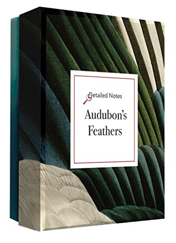 Audubon's Feathers: A Detailed Notes notecard box [Cards]