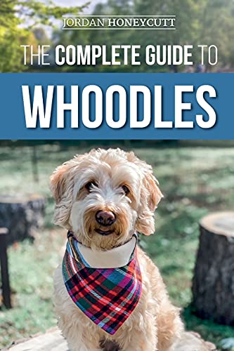 Complete Guide To Whoodles