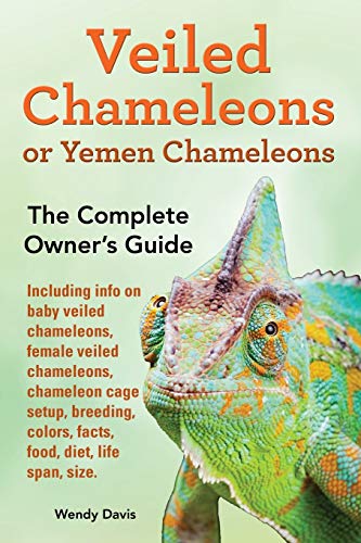 Veiled Chameleons Or Yemen Chameleons As Pets. Info On Baby Veiled Chameleons, F [Paperback]