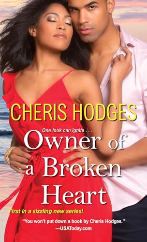 Owner of a Broken Heart [Paperback]