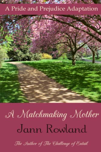 Matchmaking Mother [Paperback]