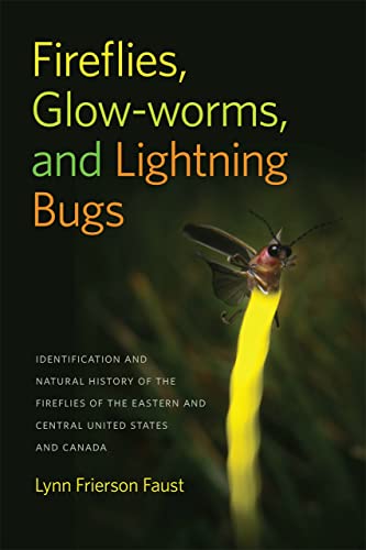 Fireflies, Glow-worms, and Lightning Bugs: Id