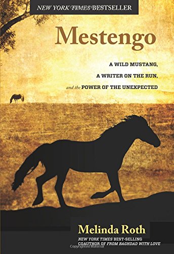 Mestengo: A Wild Mustang, A Writer On The Run, And The Power Of The Unexpected [Hardcover]