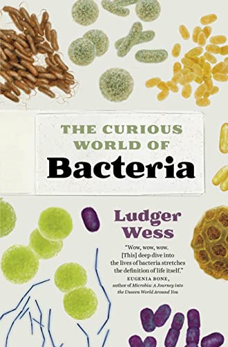 The Curious World of Bacteria [Hardcover]