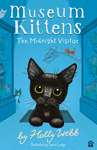 The Midnight Visitor [Paperback]