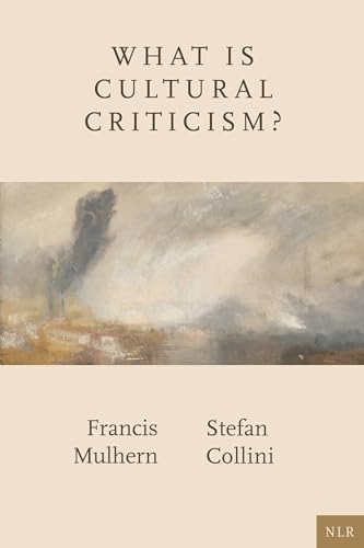 What Is Cultural Criticism? [Paperback]