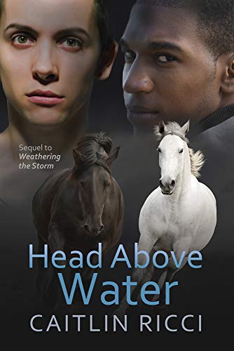 Head Above Water [Paperback]