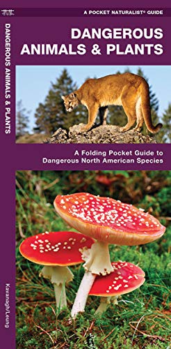 Dangerous Animals & Plants: A Folding Pocket Guide to Dangerous North Americ [Pamphlet]