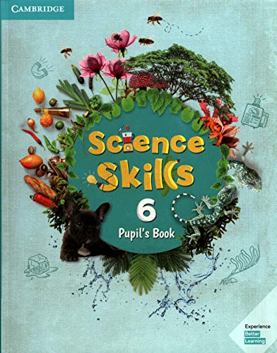 Science Skills Level 6 Pupil's Book [Paperback]