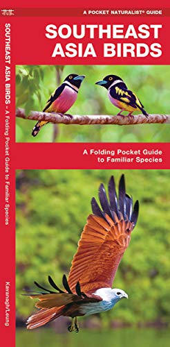 Southeast Asia Birds: A Folding Pocket Guide to Familiar Species [Pamphlet]