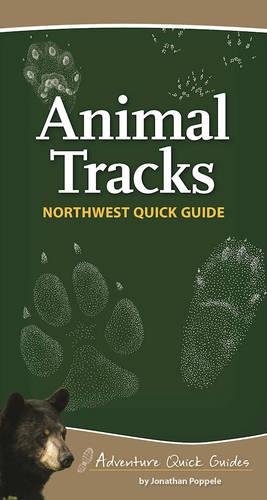 Animal Tracks of the Northwest [Spiral bound]