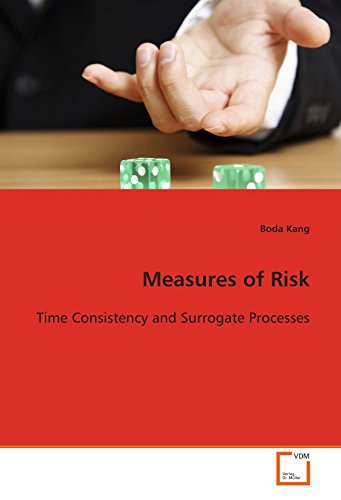 Measures of Risk  Time Consistency and Surrogate Processes [Paperback]