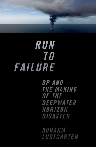 Run to Failure BP and the Making of the Deepater Horizon Disaster [Hardcover]