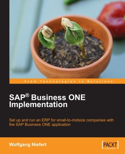 Sap Business One Implementation [Paperback]