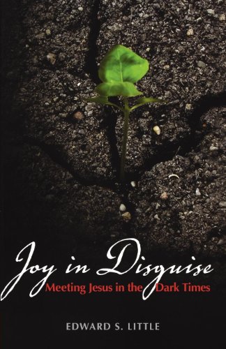 Joy In Disguise Meeting Jesus In The Dark Times [Paperback]