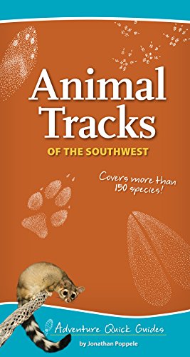 Animal Tracks of the Southwest [Spiral bound]