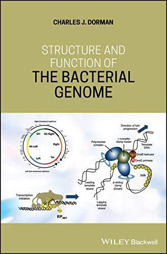 Structure and Function of the Bacterial Genome [Hardcover]