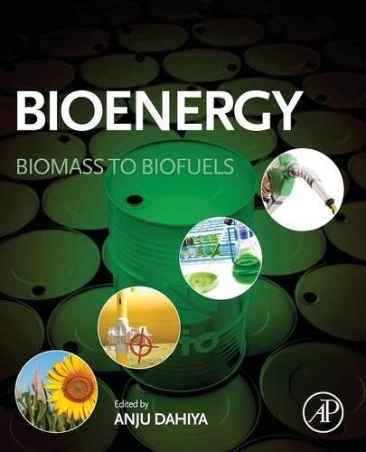 Bioenergy Biomass to Biofuels [Paperback]