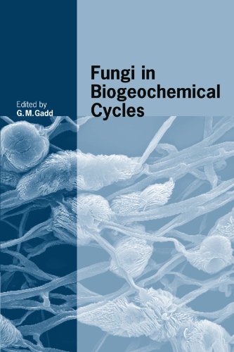 Fungi in Biogeochemical Cycles [Paperback]