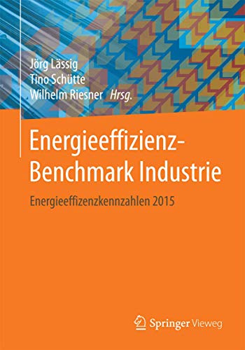 Energieeffizienz-Benchmark Industrie: Energieeffizienzkennzahlen 2015 [Paperback]