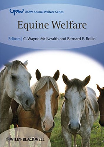 Equine Welfare [Paperback]