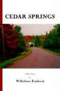 Cedar Springs  30 Short Stories [Paperback]