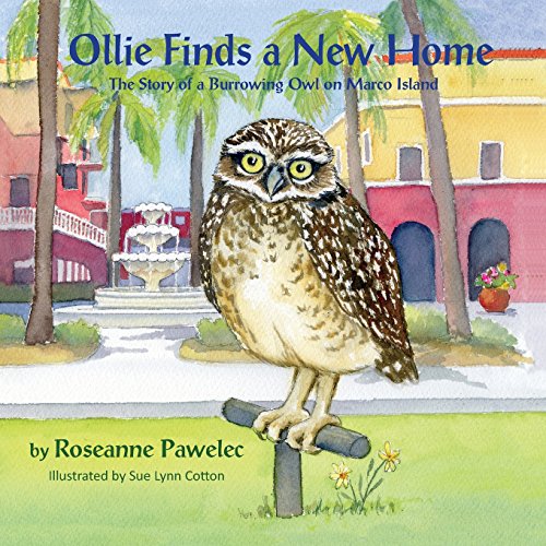 Ollie Finds A Ne Home, The Story Of A Burroing Ol On Marco Island [Paperback]