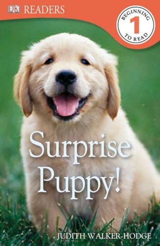 DK Readers L1: Surprise Puppy [Paperback]