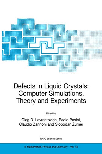 Defects in Liquid Crystals: Computer Simulations, Theory and Experiments [Hardcover]