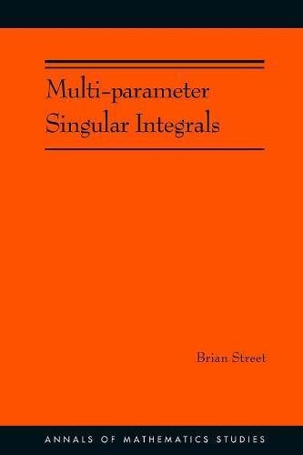 Multi-parameter Singular Integrals. (AM-189), Volume I [Paperback]