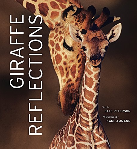 Giraffe Reflections [Hardcover]