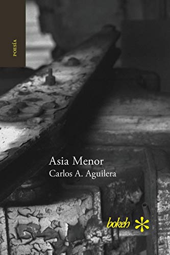 Asia Menor (spanish Edition) [Paperback]