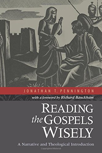 Reading The Gospels Wisely: A Narrative And Theological Introduction [Paperback]