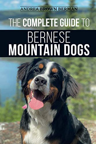 Complete Guide to Bernese Mountain Dogs  Selecting, Preparing for, Training, Fe [Paperback]