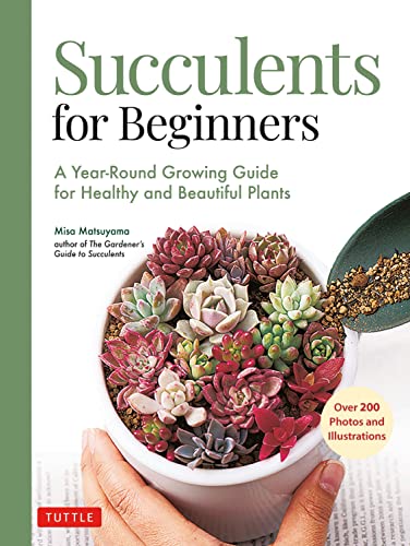 Succulents for Beginners: A Year-Round Growin