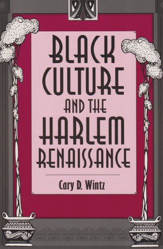 Black Culture And The Harlem Renaissance [Paperback]