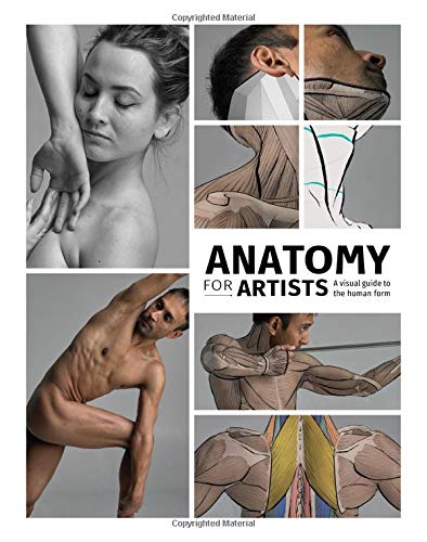 Anatomy for Artists: A visual guide to the human form [Hardcover]