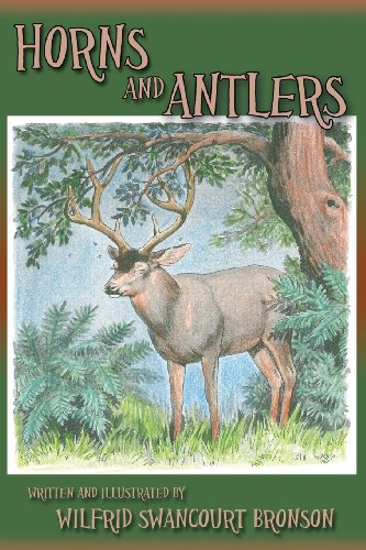 Horns And Antlers [Paperback]