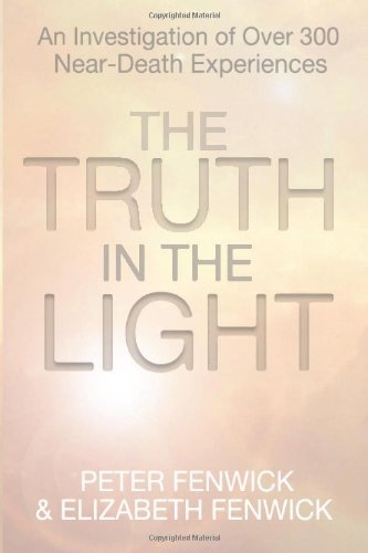 The Truth In The Light [Paperback]