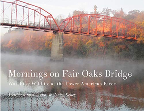 Mornings on Fair Oaks Bridge  Watching Wildlife at the Loer American River [Paperback]