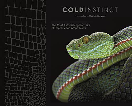 Matthijs Kuijpers: Cold Instinct [Hardcover]