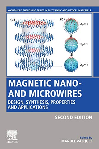 Magnetic Nano- and Microires Design, Synthesis, Properties and Applications [Paperback]