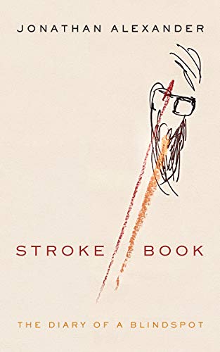 Stroke Book The Diary of a Blindspot [Hardcover]