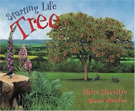 Starting Life: Tree [Hardcover]