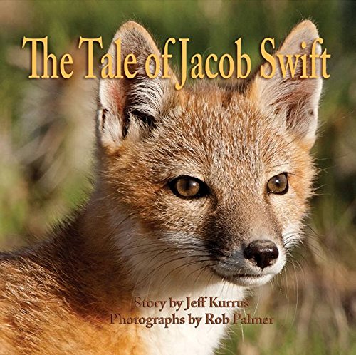 The Tale of Jacob Swift [Hardcover]